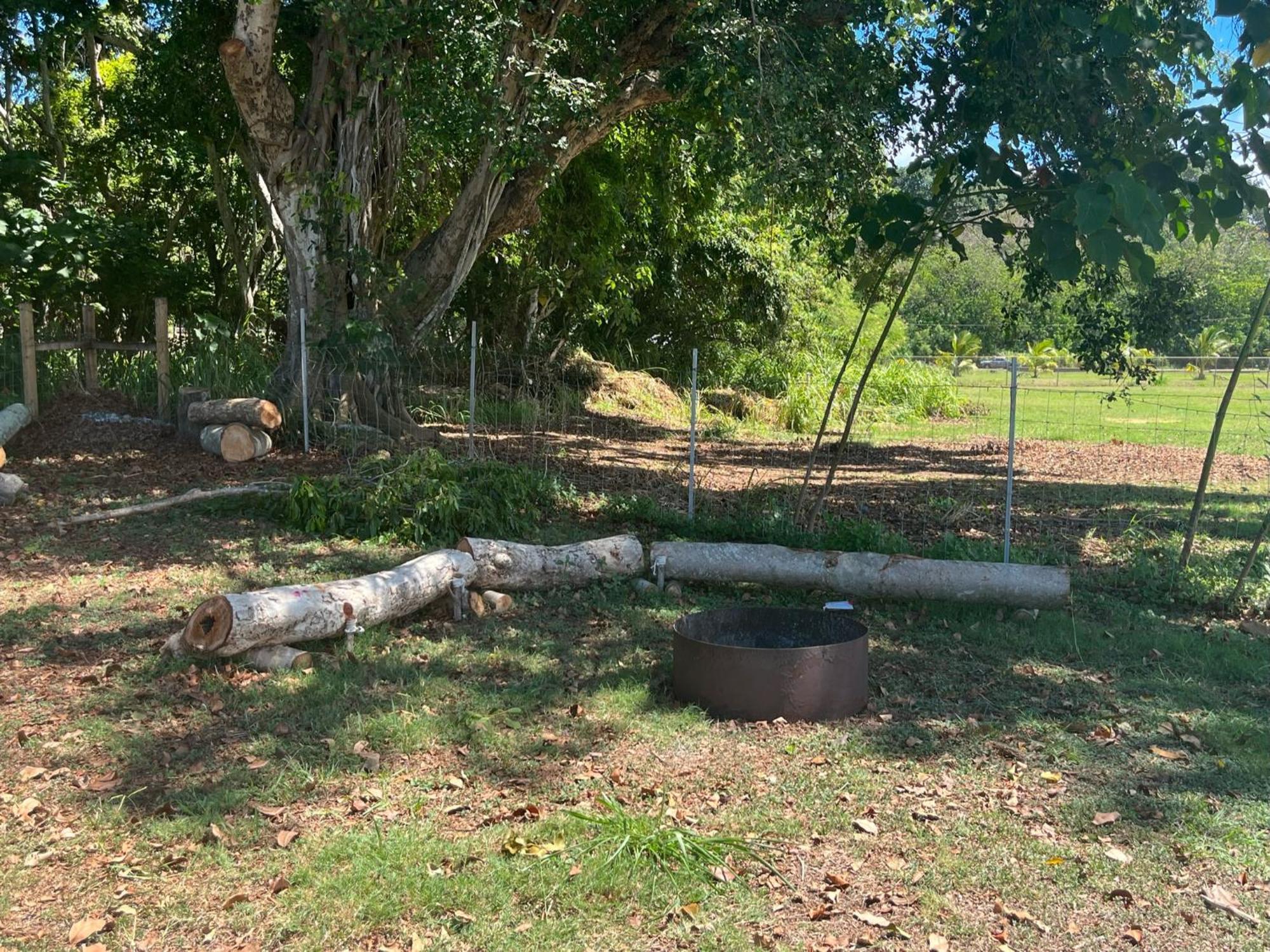 North Shore Glamping Camping Laie, Oahu, Hawaii Esterno foto